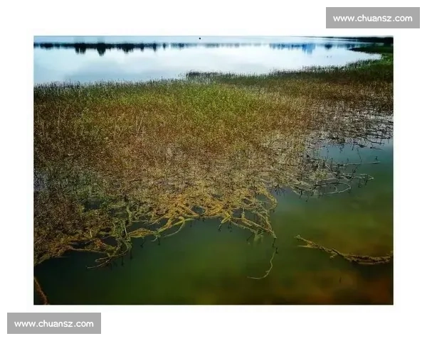 意见簿变身暖心册：青龙湖畔见证全球谢意与中国温度