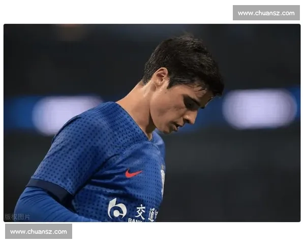 蝶翼齐舞：特谢拉与路易斯的申花救赎之路